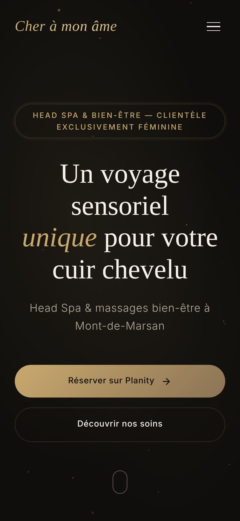 Site Cher à mon âme sur smartphone