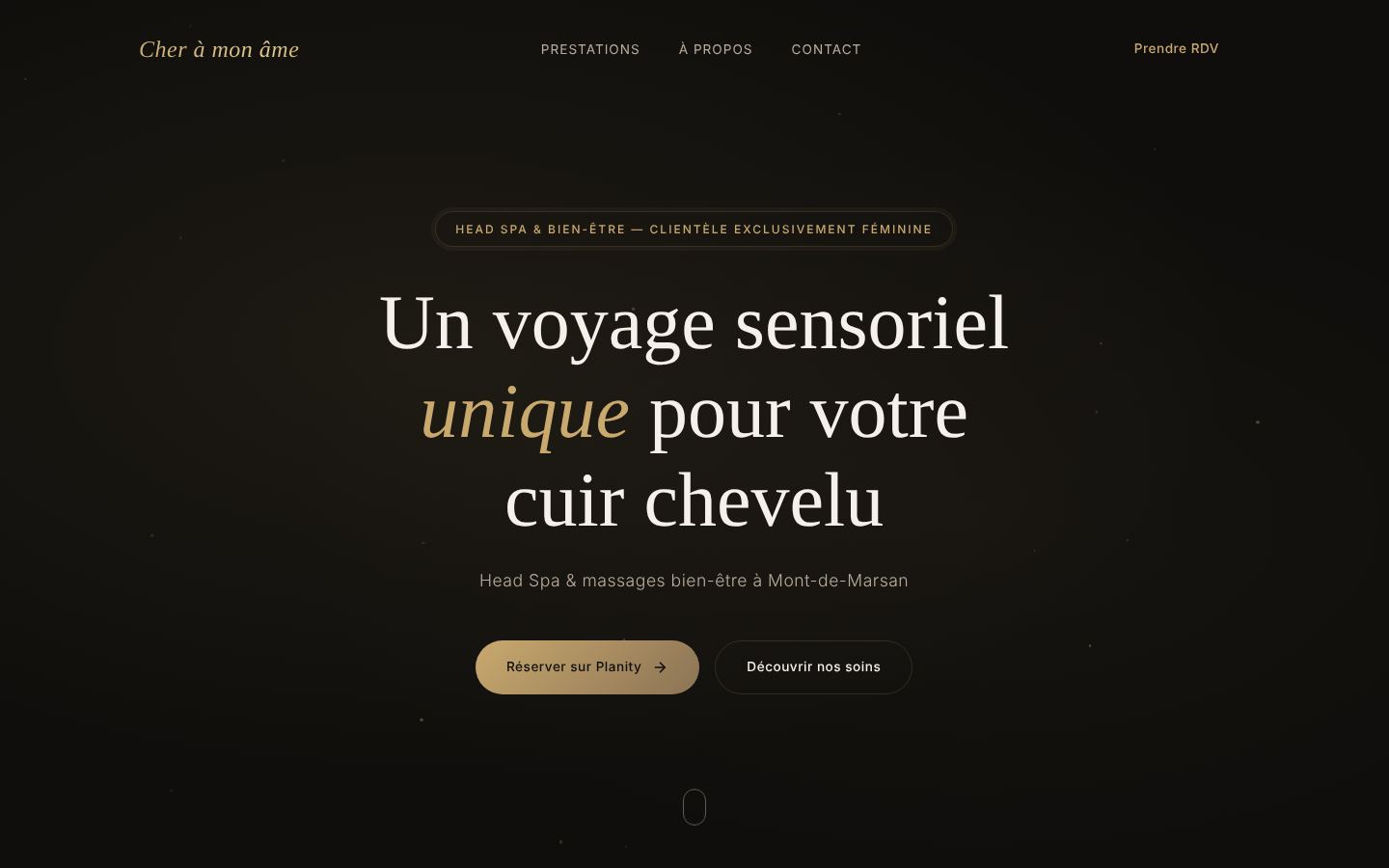 Page d'accueil du site Cher à mon âme sur ordinateur
